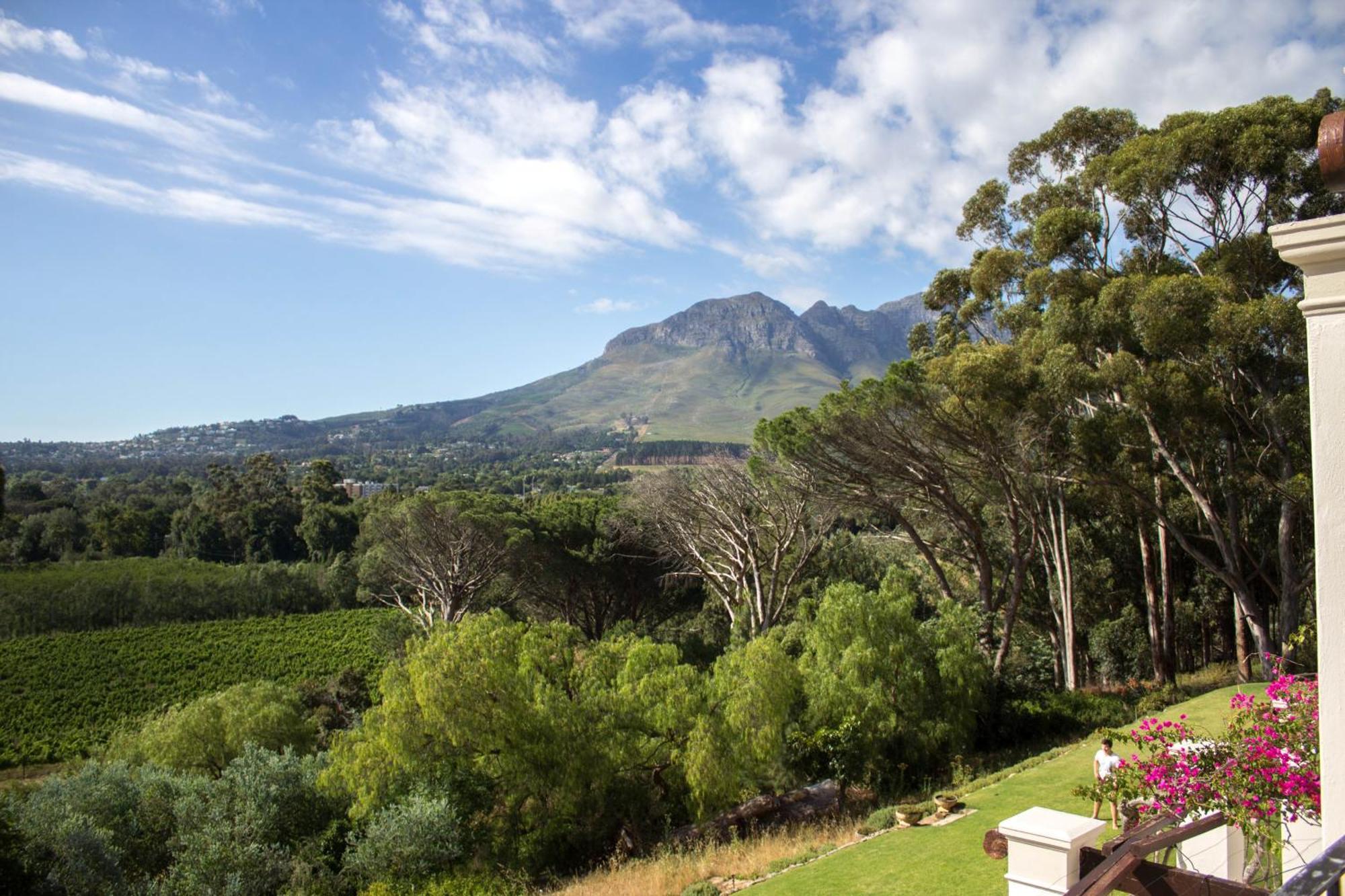 Hotel Morton Manor Somerset West Zimmer foto